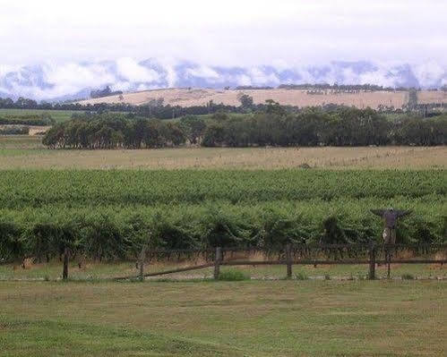 Отель Yering Farm Wines Yarra Valley Экстерьер фото